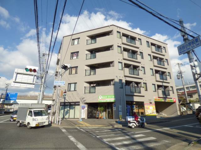 プリムローズ正野