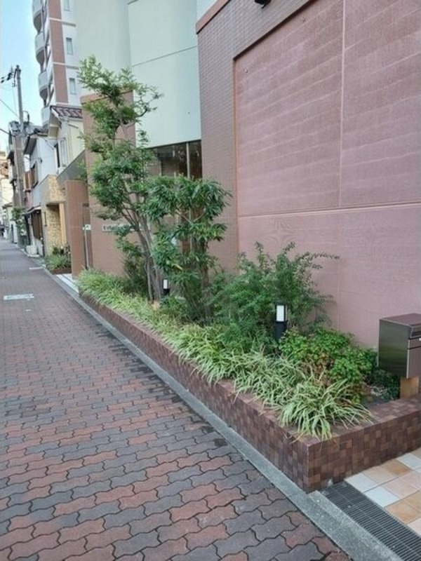 バス