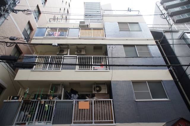 ウィルトアロード