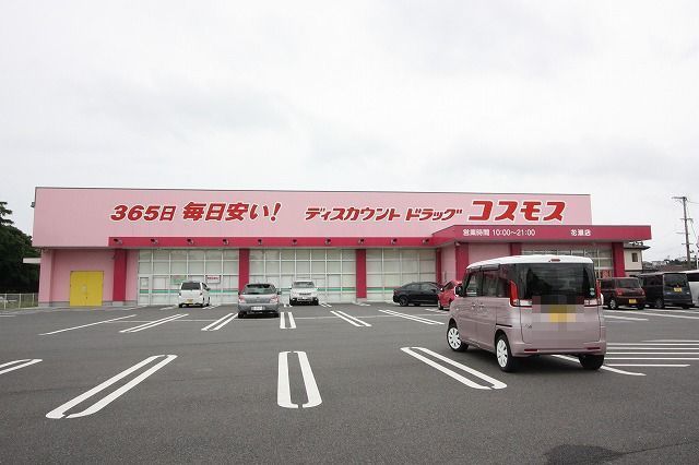 ドラッグストア