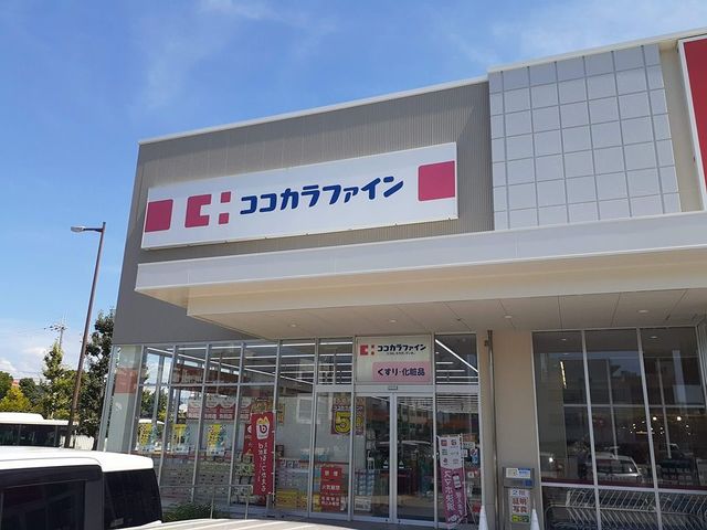 ドラッグストア