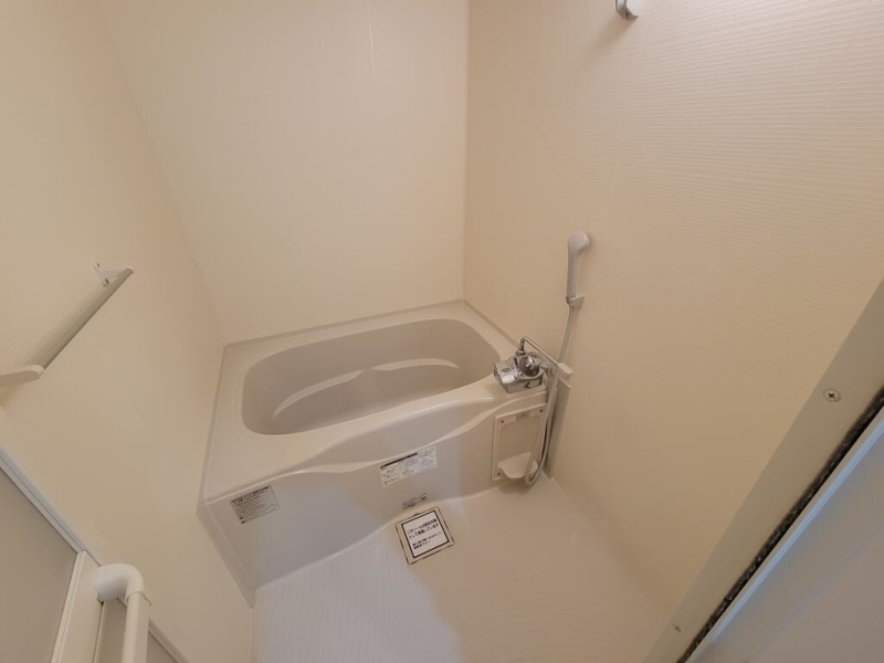 バス