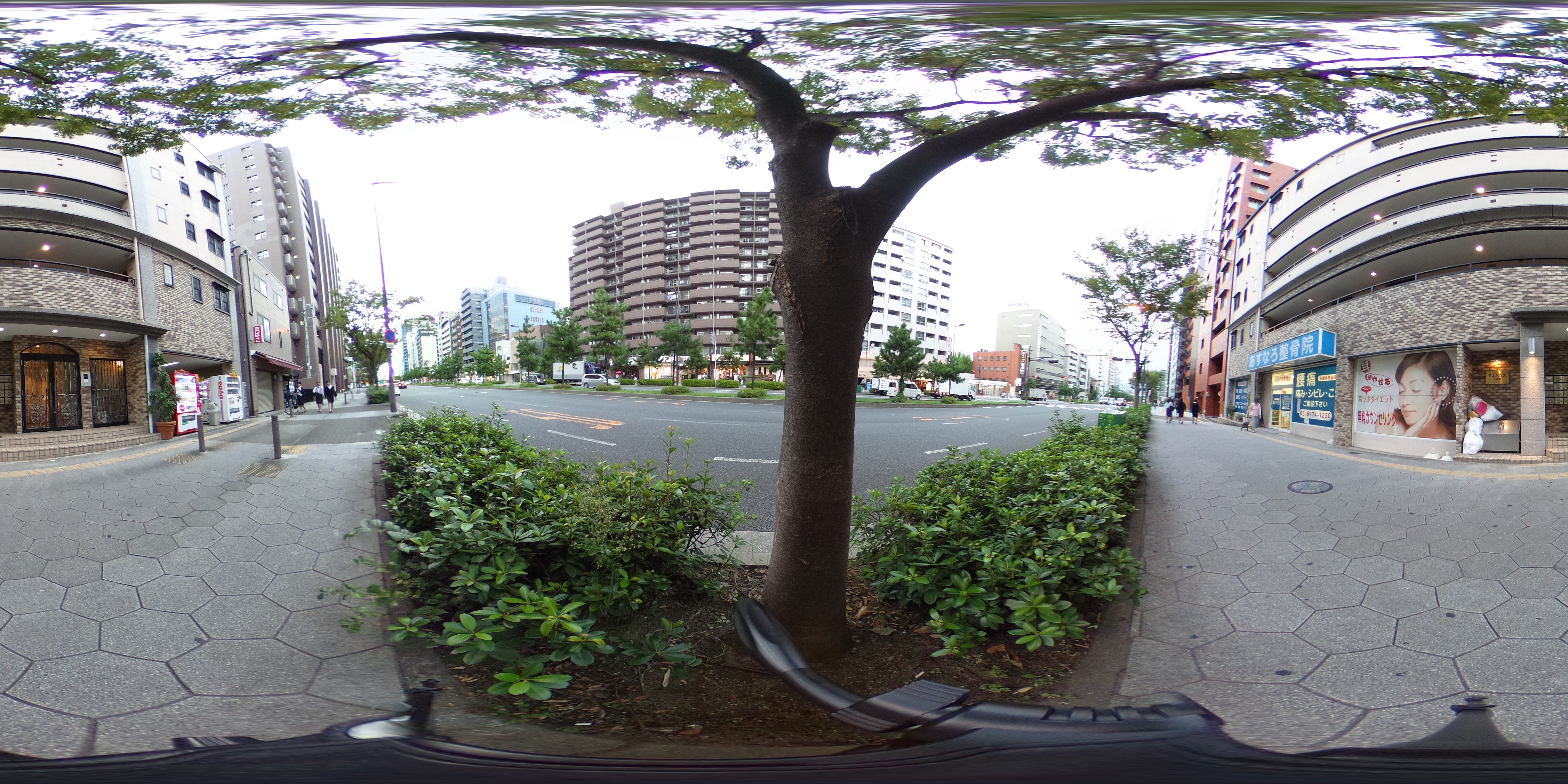 外観