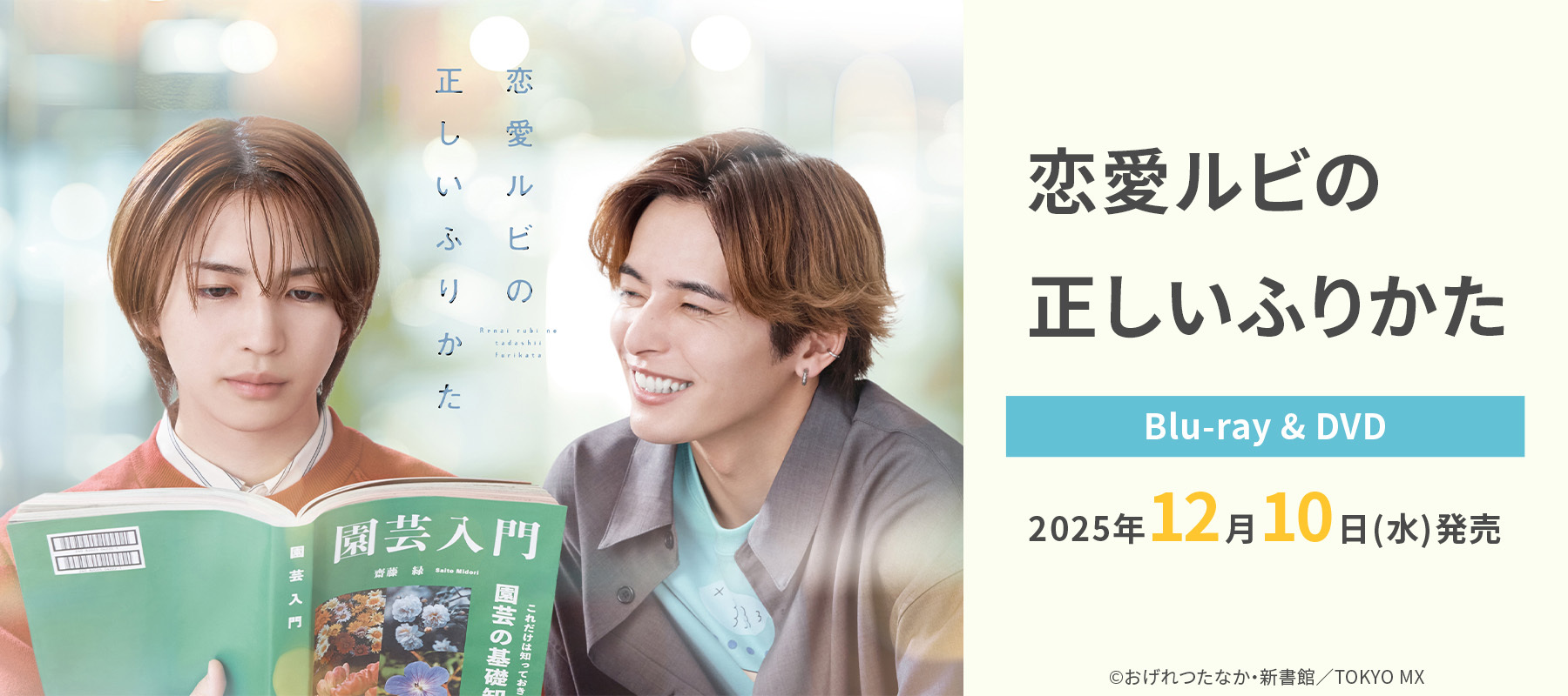 岩橋玄樹まとめ売り新品未使用 ALBUM | 岩橋玄樹 オフィシャルサイト ｜ GENKI IWAHASHI