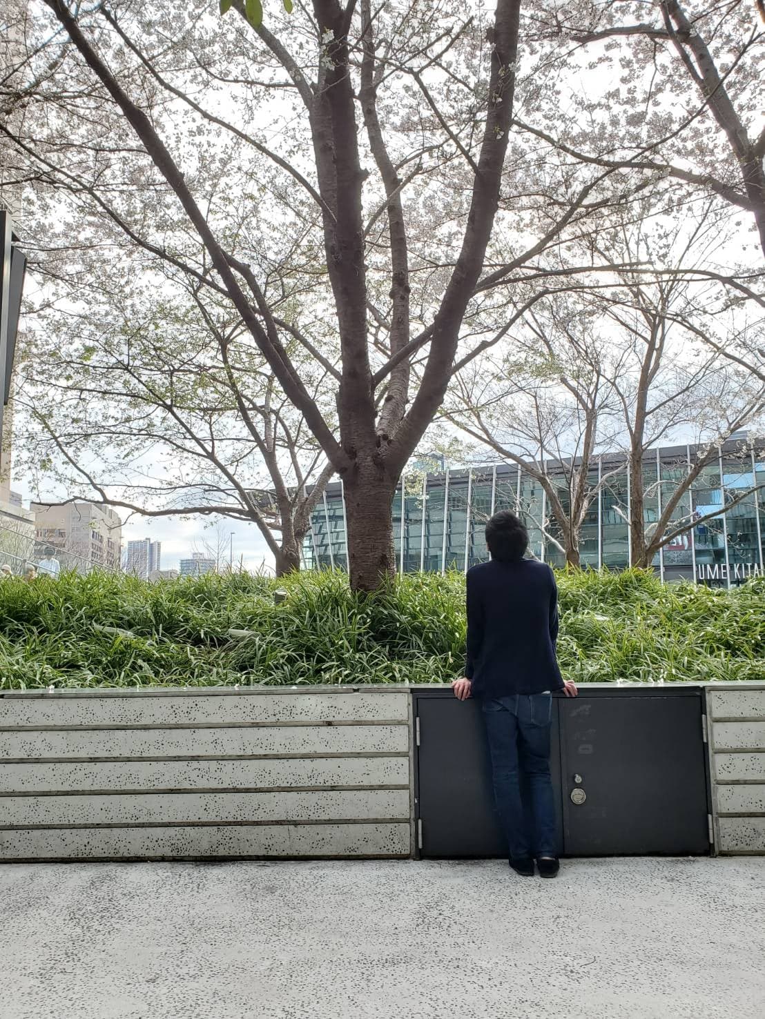 ixi入会1年で資産8倍達成!のイメージ