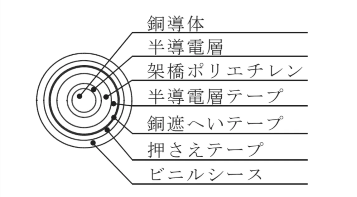 解答選択肢の画像