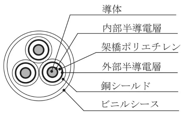 解答選択肢の画像