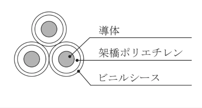 解答選択肢の画像