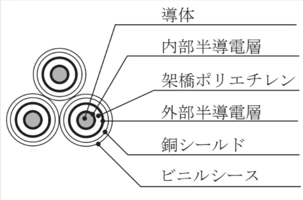 解答選択肢の画像