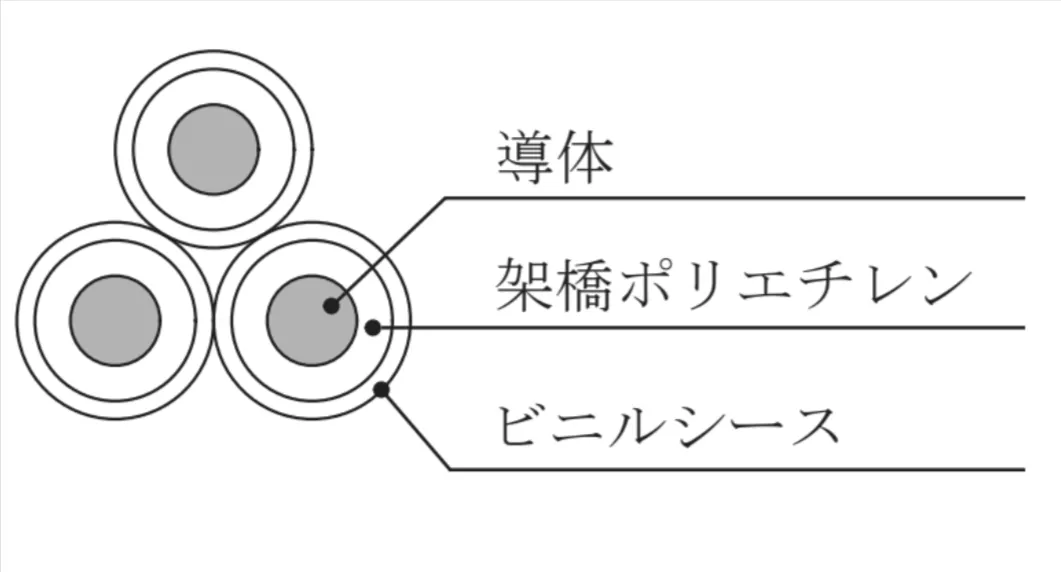 解答選択肢の画像