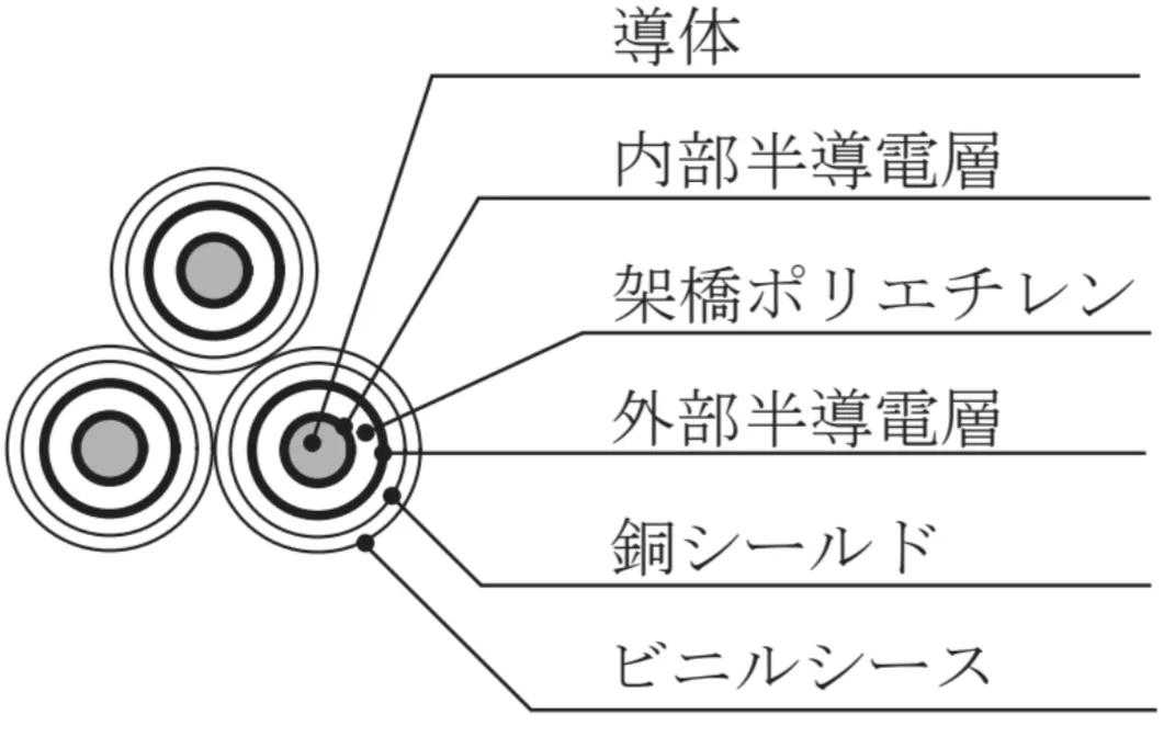 解答選択肢の画像