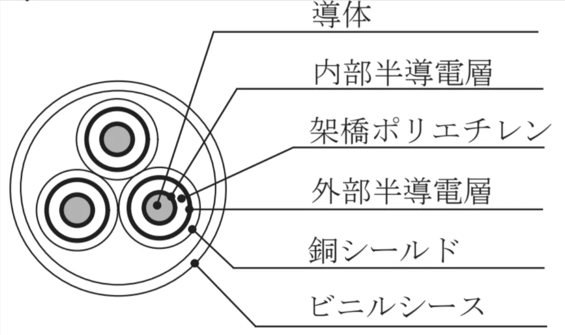 解答選択肢の画像