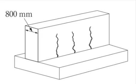 解答選択肢の画像