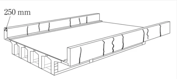 解答選択肢の画像