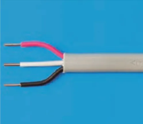 解答選択肢の画像