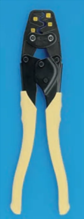 解答選択肢の画像