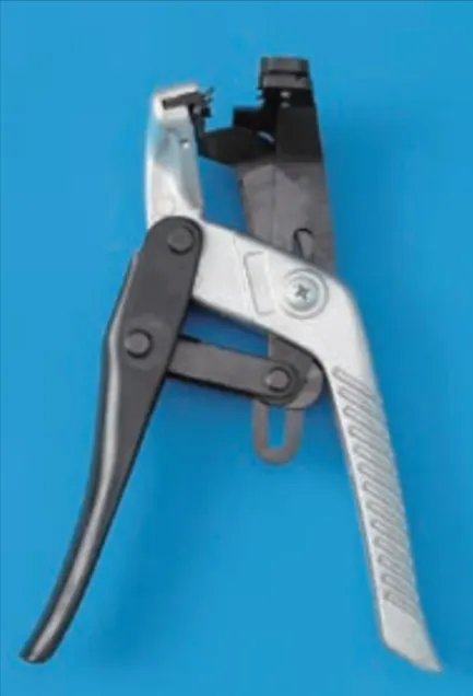 解答選択肢の画像