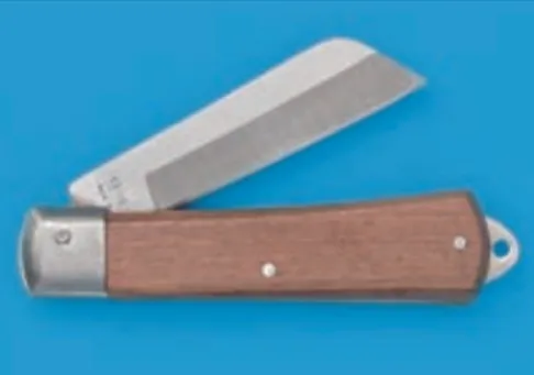 解答選択肢の画像