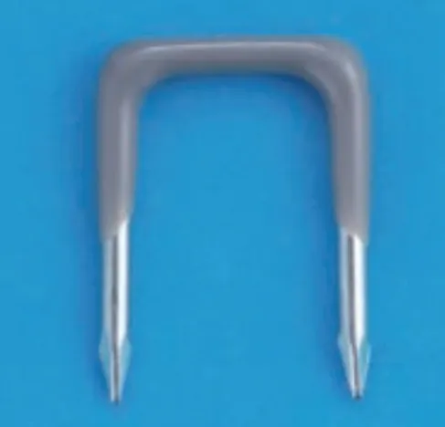 解答選択肢の画像