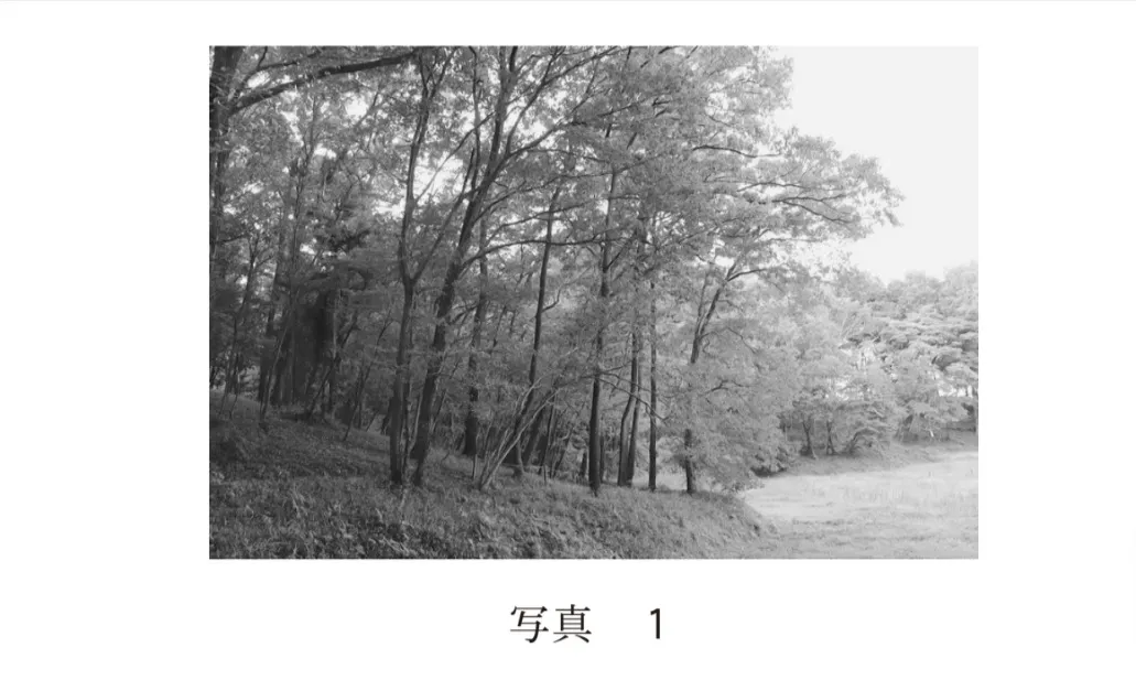 問題文の画像