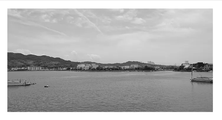 解答選択肢の画像