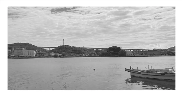 解答選択肢の画像