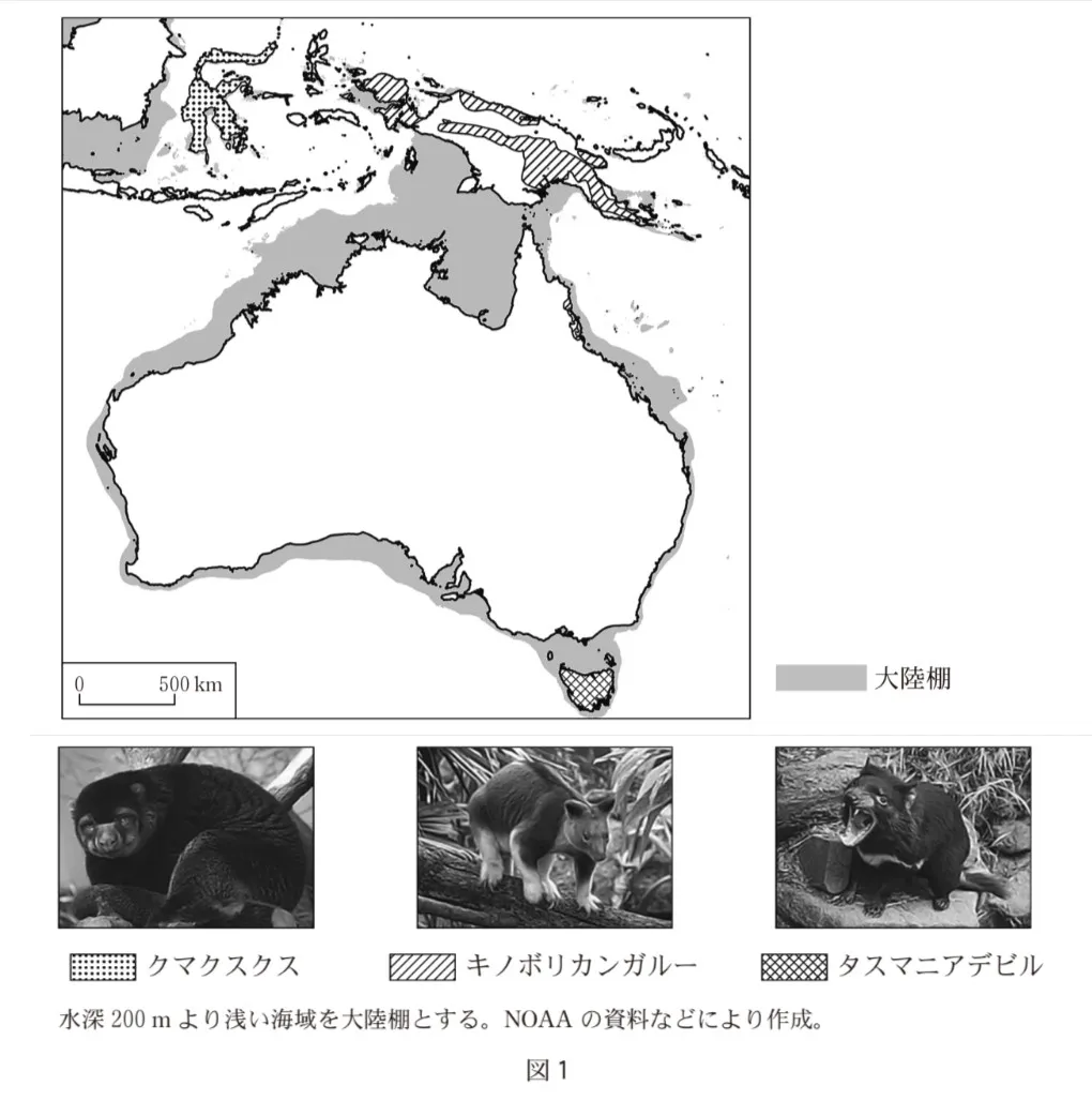 問題文の画像