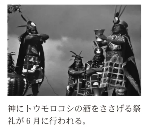 解答選択肢の画像
