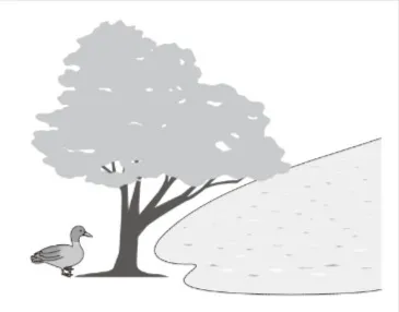 解答選択肢の画像