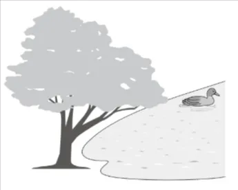 解答選択肢の画像