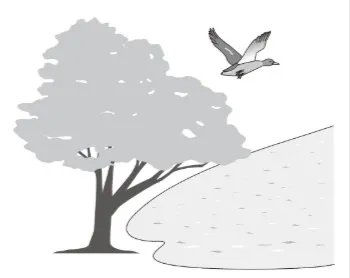 解答選択肢の画像