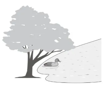 解答選択肢の画像