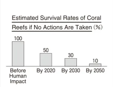 解答選択肢の画像