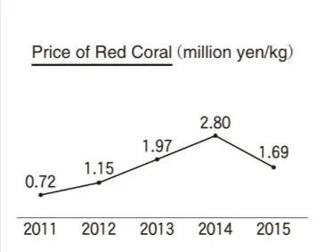 解答選択肢の画像
