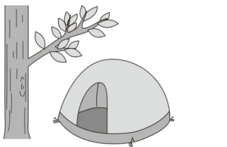 解答選択肢の画像