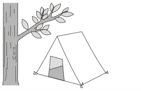 解答選択肢の画像