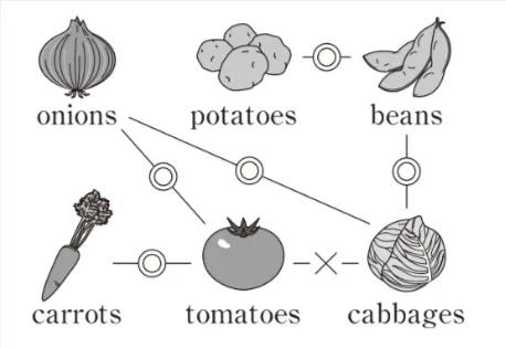解答選択肢の画像