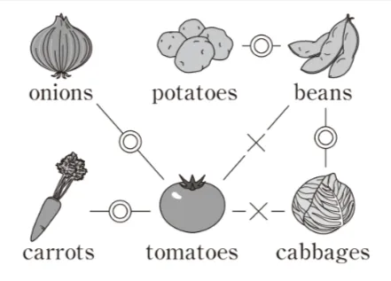 解答選択肢の画像