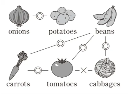 解答選択肢の画像