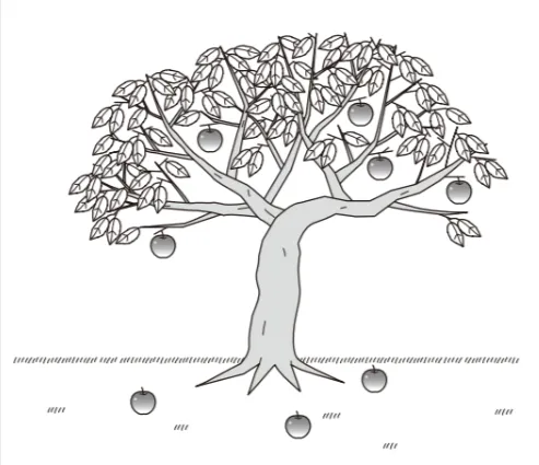 解答選択肢の画像