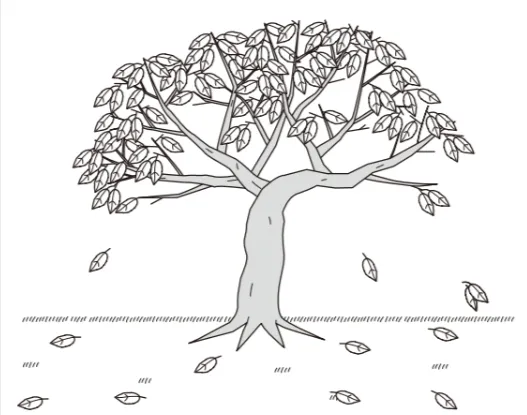 解答選択肢の画像