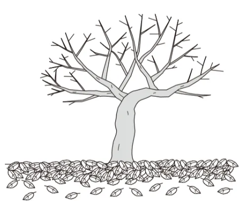 解答選択肢の画像