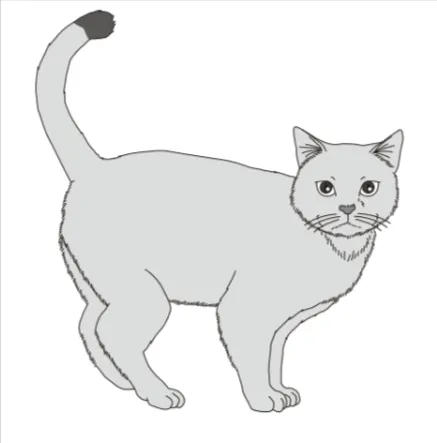 解答選択肢の画像