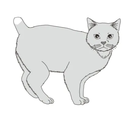 解答選択肢の画像