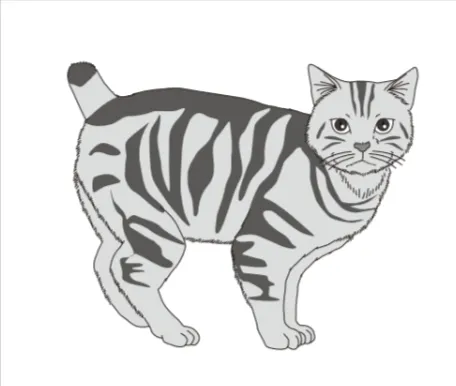 解答選択肢の画像