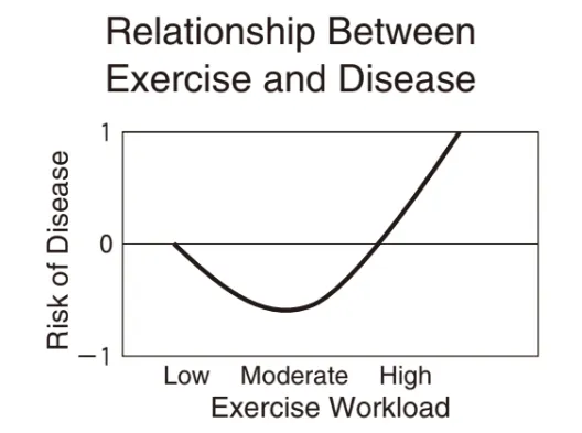 解答選択肢の画像
