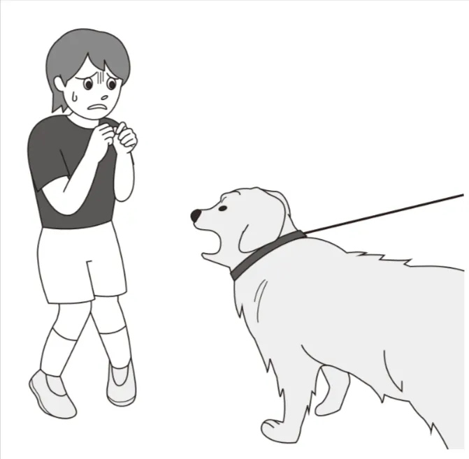 解答選択肢の画像