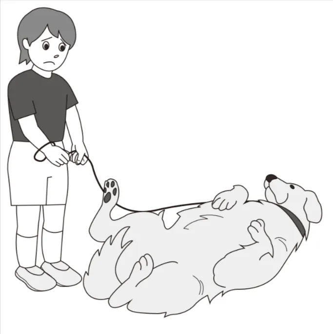 解答選択肢の画像