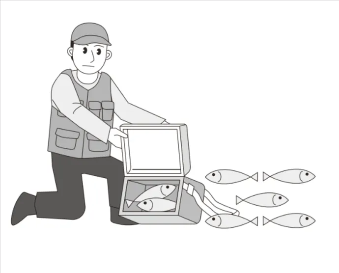 解答選択肢の画像