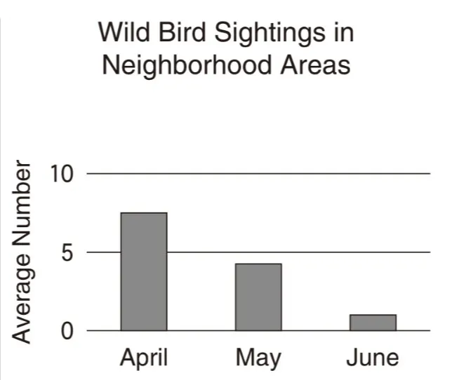 解答選択肢の画像